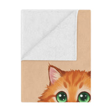 Load image into Gallery viewer, Cute Orange Kitten Minky Blanket