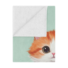 Load image into Gallery viewer, Cute Orange Kitten Minky Blanket