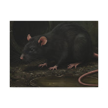 Load image into Gallery viewer, Sewer Rat Canvas Print