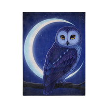 Load image into Gallery viewer, Moonlight Owl Blanket