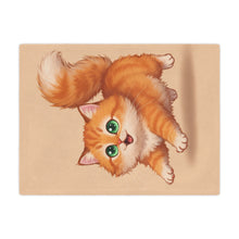Load image into Gallery viewer, Cute Orange Kitten Minky Blanket