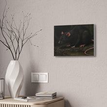 Load image into Gallery viewer, Sewer Rat Canvas Print

