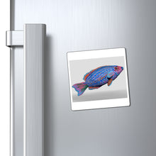 Load image into Gallery viewer, Fish Concept Magnets
