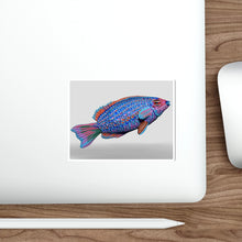 Load image into Gallery viewer, Fish Concept Kiss Cut Stickers
