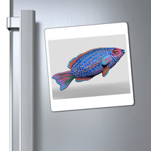 Load image into Gallery viewer, Fish Concept Magnets

