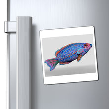 Load image into Gallery viewer, Fish Concept Magnets
