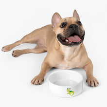 Load image into Gallery viewer, Alpro Pet Bowl
