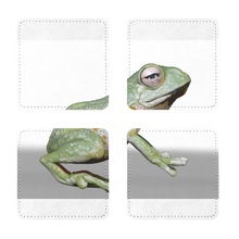 Load image into Gallery viewer, Frog Sublimation Coasters Pack of Four
