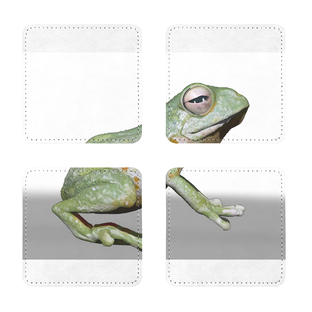 Frog Sublimation Coasters Pack of Four