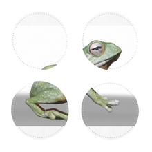 Load image into Gallery viewer, Frog Sublimation Coasters Pack of Four

