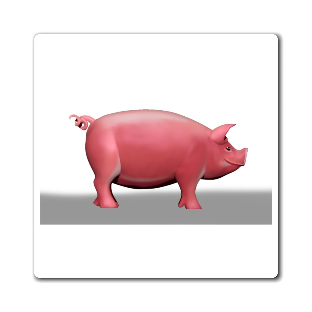 CG Pig Magnets