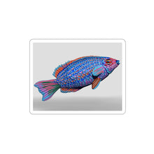 Load image into Gallery viewer, Fish Concept Kiss Cut Stickers

