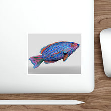 Load image into Gallery viewer, Fish Concept Kiss Cut Stickers
