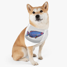Load image into Gallery viewer, Fish Concept Pet Bandana Collar
